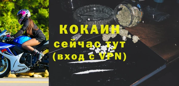 молекула духа Алексин