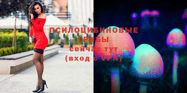 молекула духа Алексин