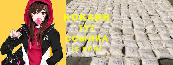 молекула духа Алексин