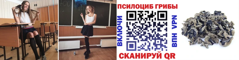 Псилоцибиновые грибы Cubensis  Уяр 